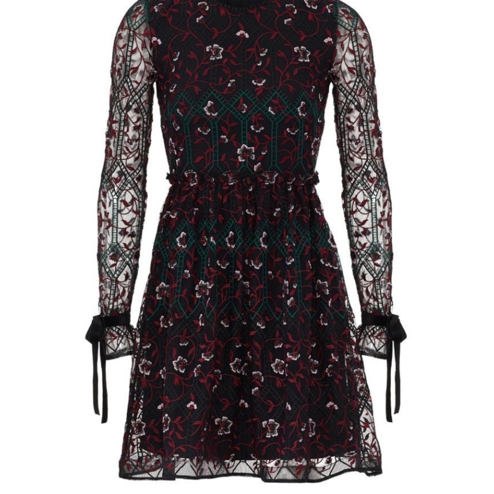 Monique Lhuillier Vine Embroidered Dress
